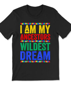 I Am My Ancestors Wildest Dream Black History Month February T-shirt